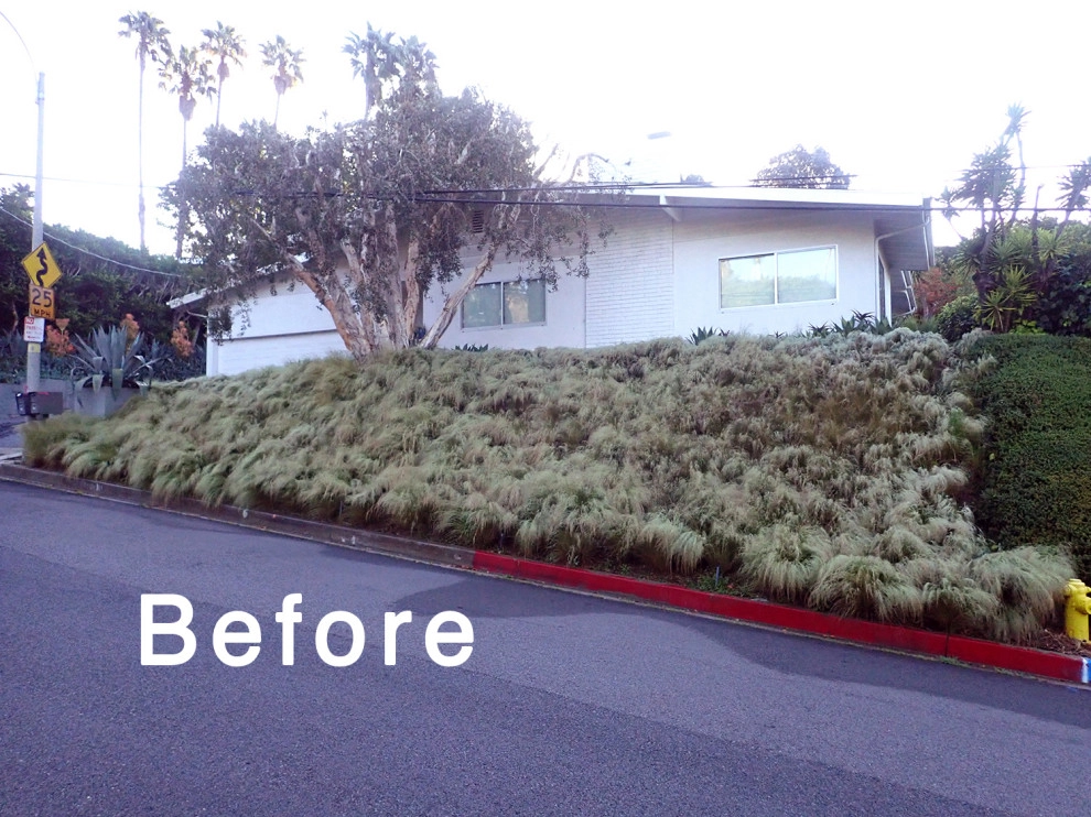 Artist Sanctuary - Laurel Canyon by Bosler Earth Design - Photo 24