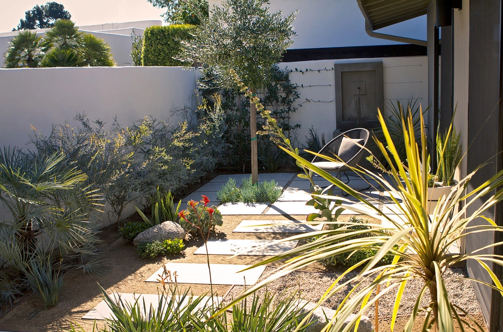 Mid Century Modern - Hollywood Hills by Bosler Earth Design - Photo 4