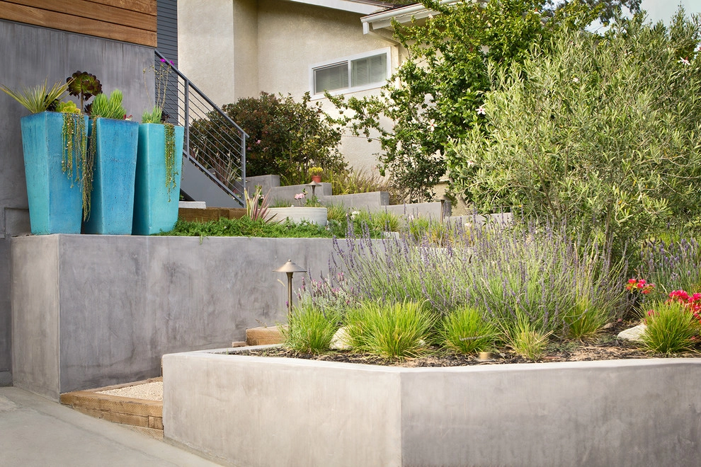 Naturalistic Contemporary Home - Santa Monica by Bosler Earth Design - Photo 7