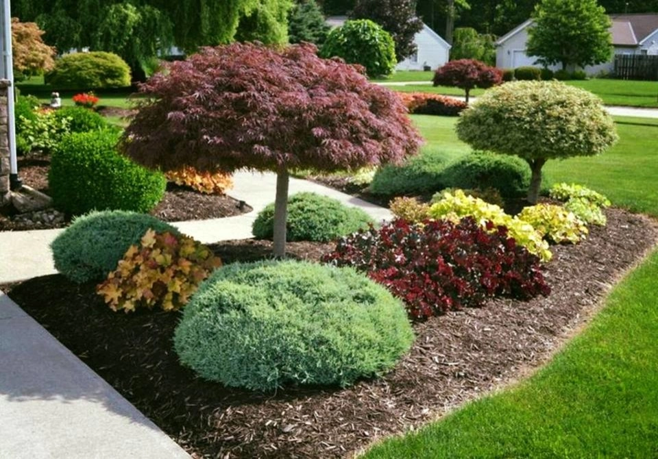 DOC'S Landscaping And Lawn Service, LLC - Photo 10