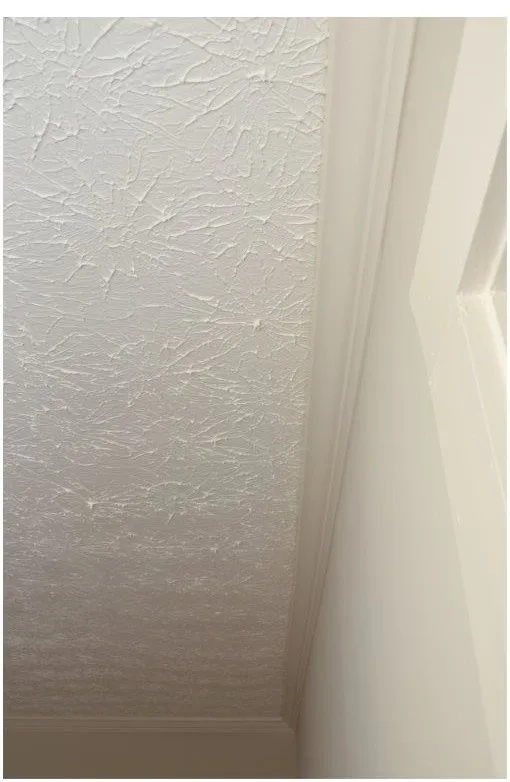 Comprehensive home makeover featuring craftsman-style details by Pythoge Custom Homes And Renovations - Photo 28