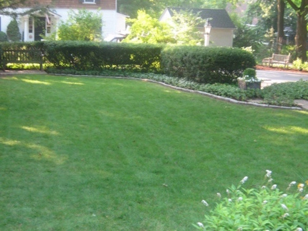 Farmington by Donnellan & Sons Landscaping - Photo 3