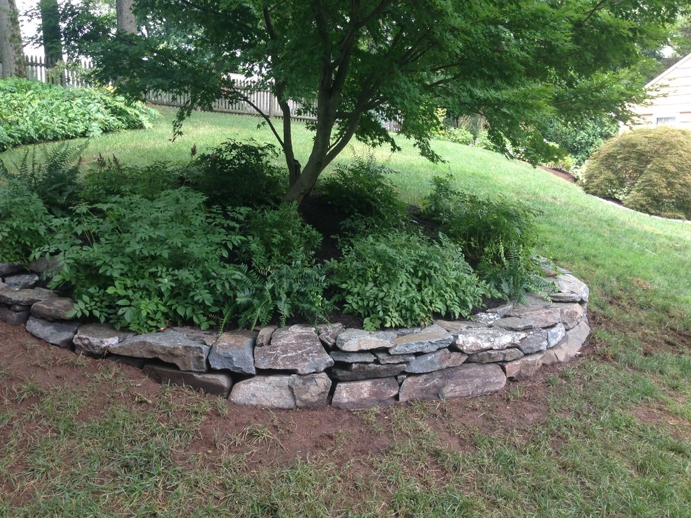 West Hartford - New Lawn - Design by Donnellan & Sons Landscaping - Photo 7