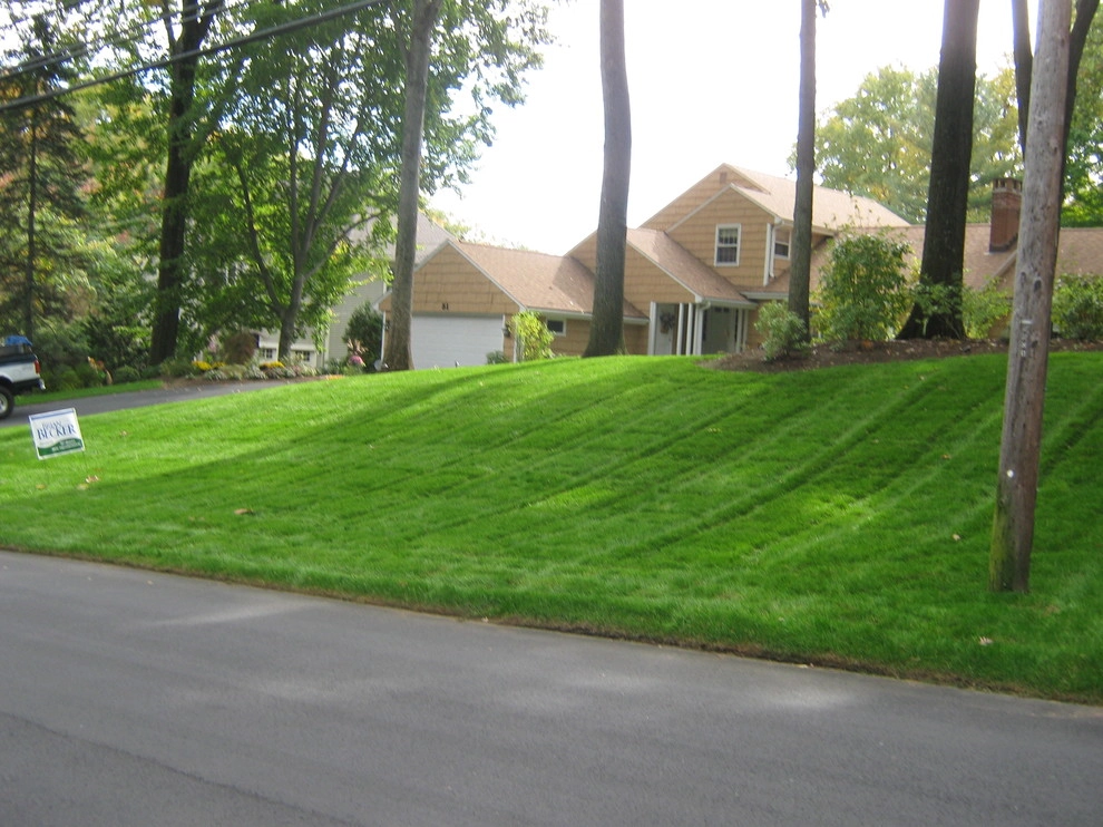 West Hartford - New Lawn - Design by Donnellan & Sons Landscaping - Photo 12