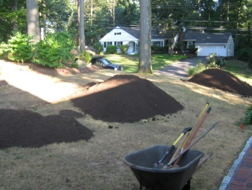 West Hartford - New Lawn - Design by Donnellan & Sons Landscaping - Photo 2