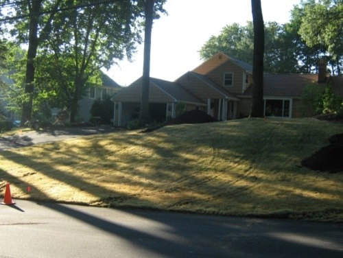 West Hartford - New Lawn - Design by Donnellan & Sons Landscaping - Photo 15