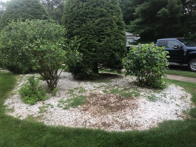 FoxChase - West Hartford by Donnellan & Sons Landscaping - Photo 3