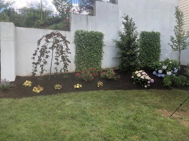 Ferncliff in West Hartford. In Progress 7/18/19 by Donnellan & Sons Landscaping - Photo 4
