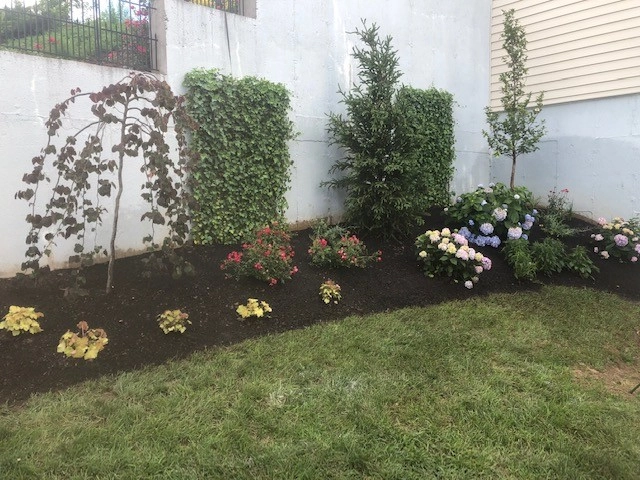 Ferncliff in West Hartford. In Progress 7/18/19 by Donnellan & Sons Landscaping - Photo 11
