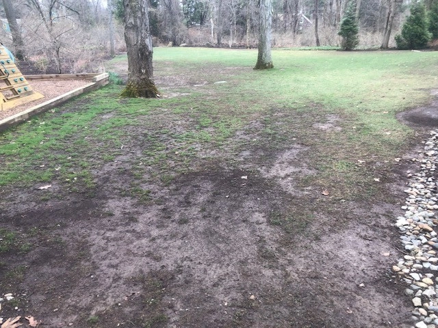 Hollister - West Hartford by Donnellan & Sons Landscaping - Photo 3
