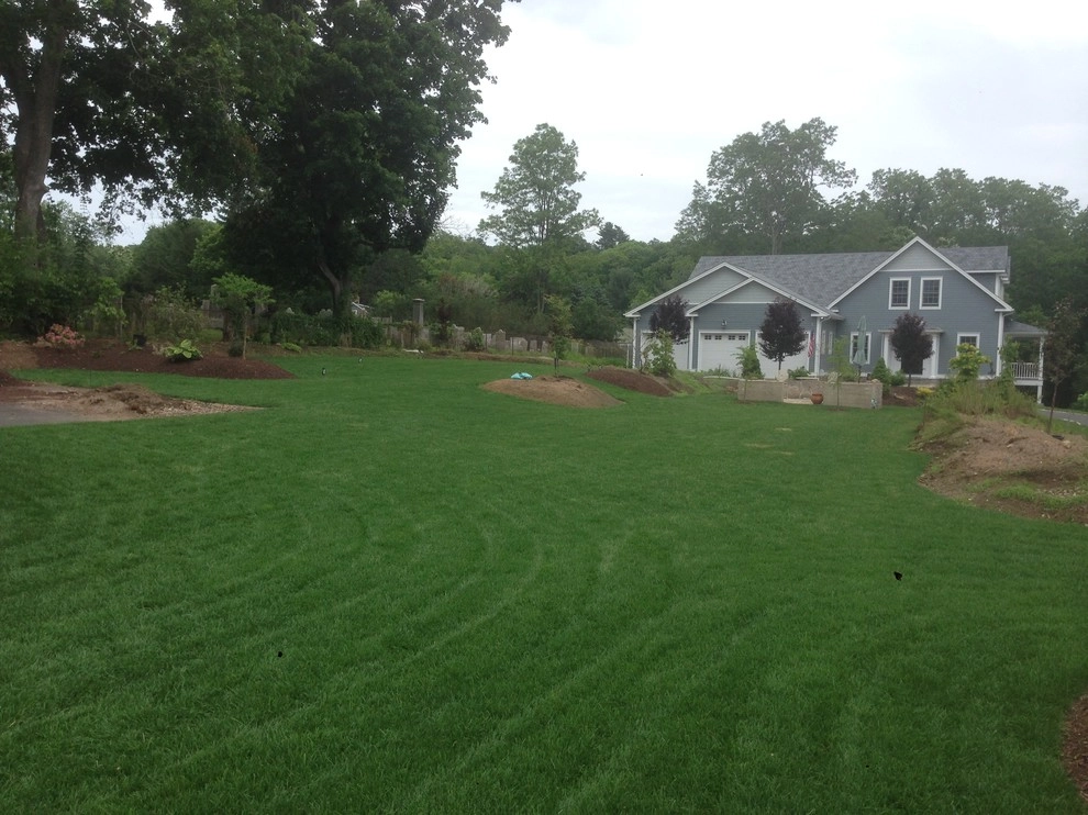Farmington Turf Project by Donnellan & Sons Landscaping - Photo 3