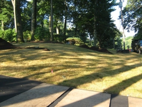 West Hartford - New Lawn - Design by Donnellan & Sons Landscaping - Photo 11