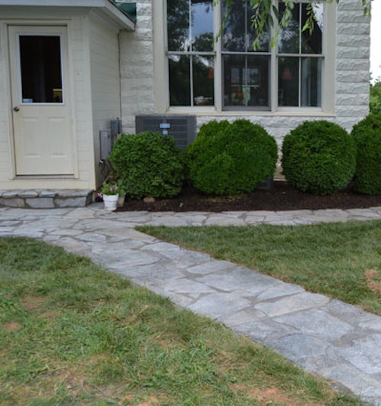 Dos Amigos Landscaping - Photo 11