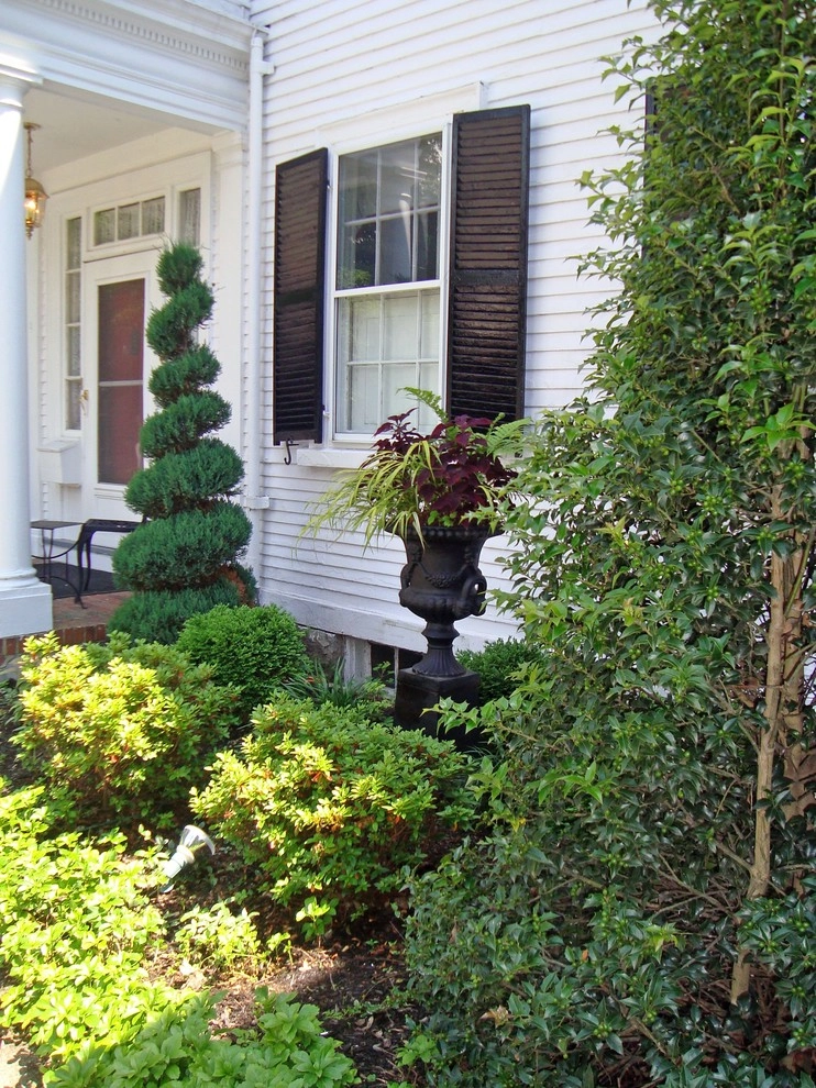 Plantings for a Formal Historic Home by Downer Brothers Landscaping, Inc. - Photo 2