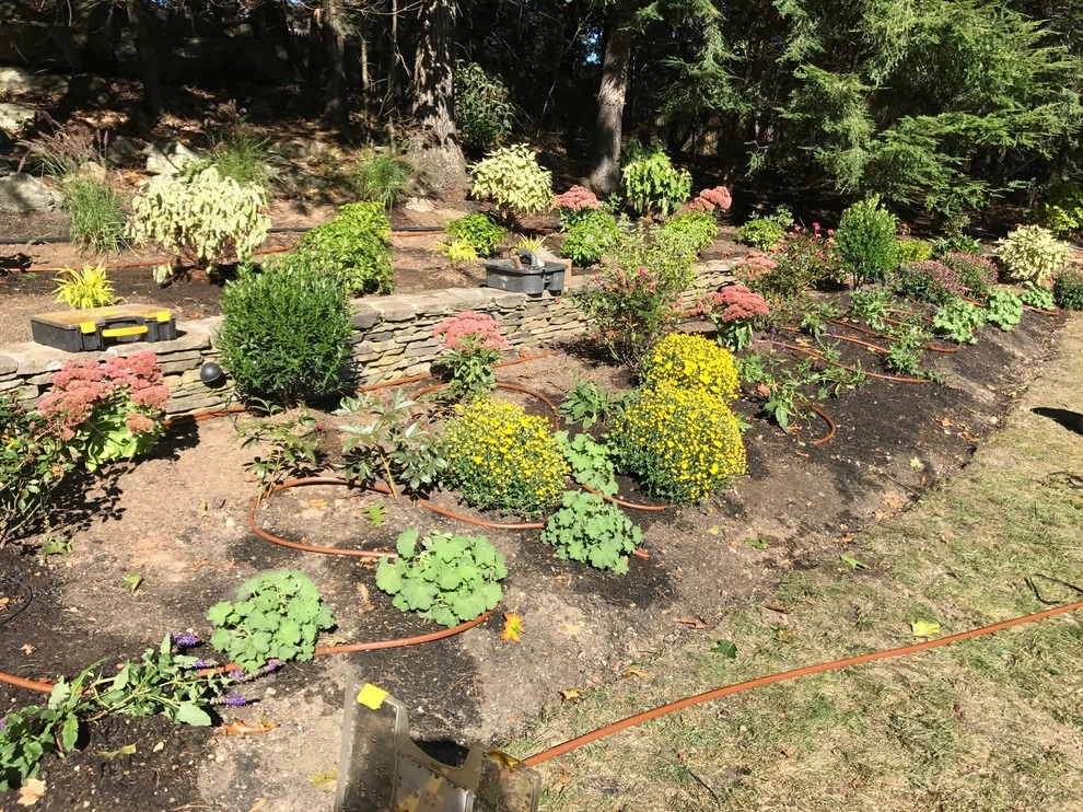 Planting Install by Downer Brothers Landscaping, Inc. - Photo 2