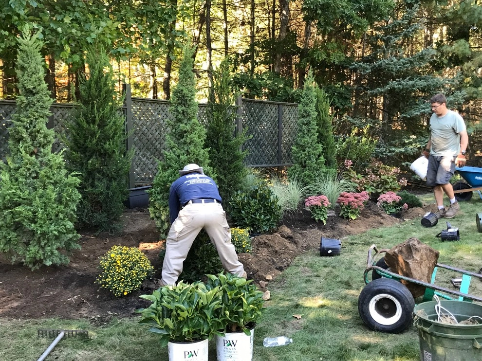 Planting Install by Downer Brothers Landscaping, Inc. - Photo 5