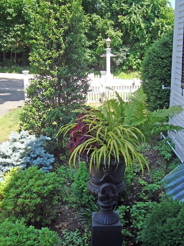 Plantings for a Formal Historic Home by Downer Brothers Landscaping, Inc. - Photo 3