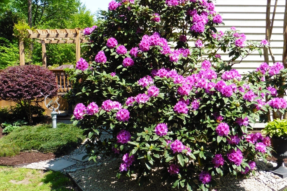 Landscape Update by Dr. Dan's Landscaping & Architectural Design - Photo 2