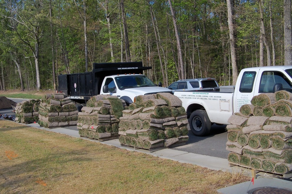 Sod Installation Project by Dr. Dan's Landscaping & Architectural Design - Photo 14
