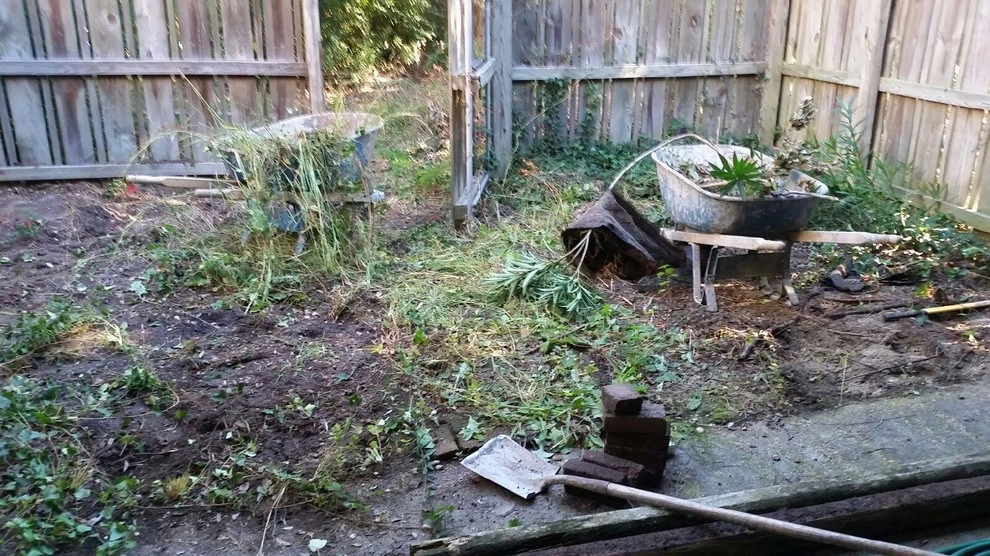 Small Backyard Renovation by Dr. Dan's Landscaping & Architectural Design - Photo 7