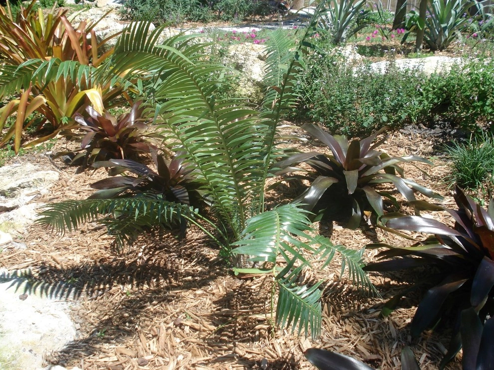 Boca Raton, FL Backyard Waterfront Oasis by Botanical Visions - Photo 6