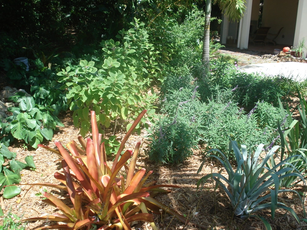 Boca Raton, FL Backyard Waterfront Oasis by Botanical Visions - Photo 2