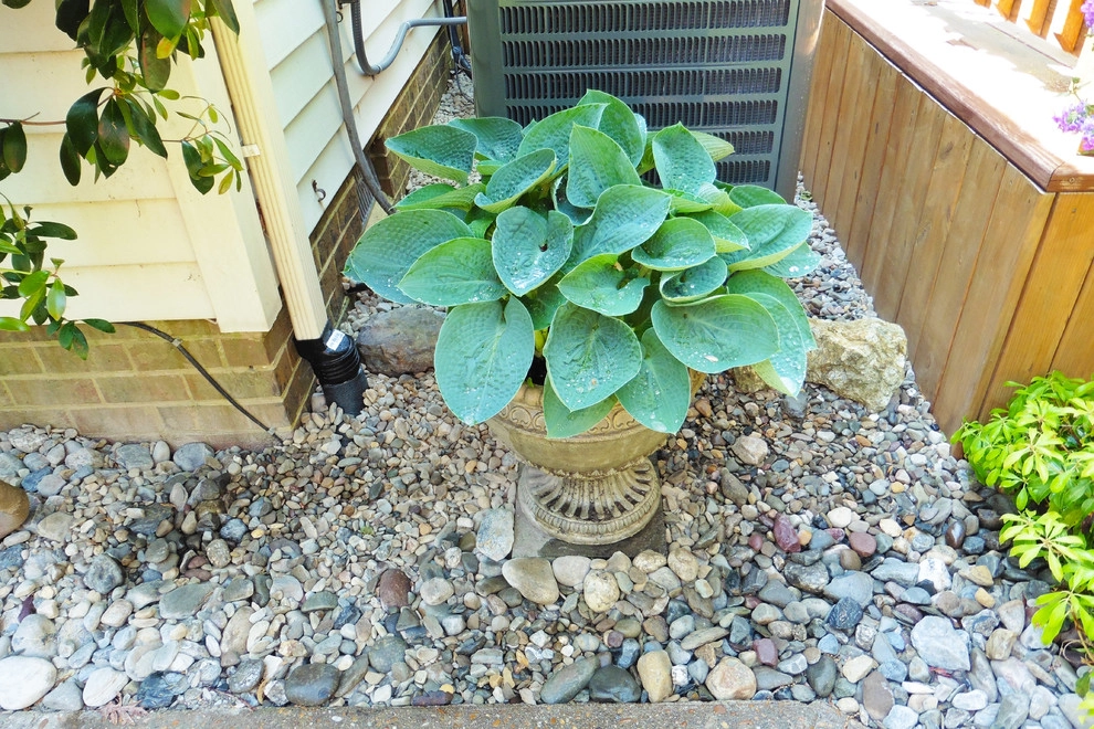 Landscape Update by Dr. Dan's Landscaping & Architectural Design - Photo 20