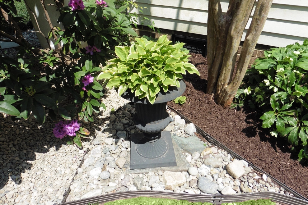 Landscape Update by Dr. Dan's Landscaping & Architectural Design - Photo 4