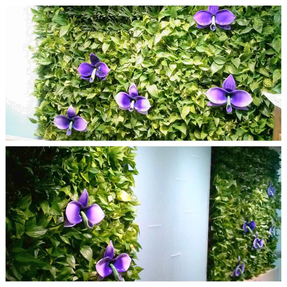 Living Wall Project by Botanical Visions - Photo 3