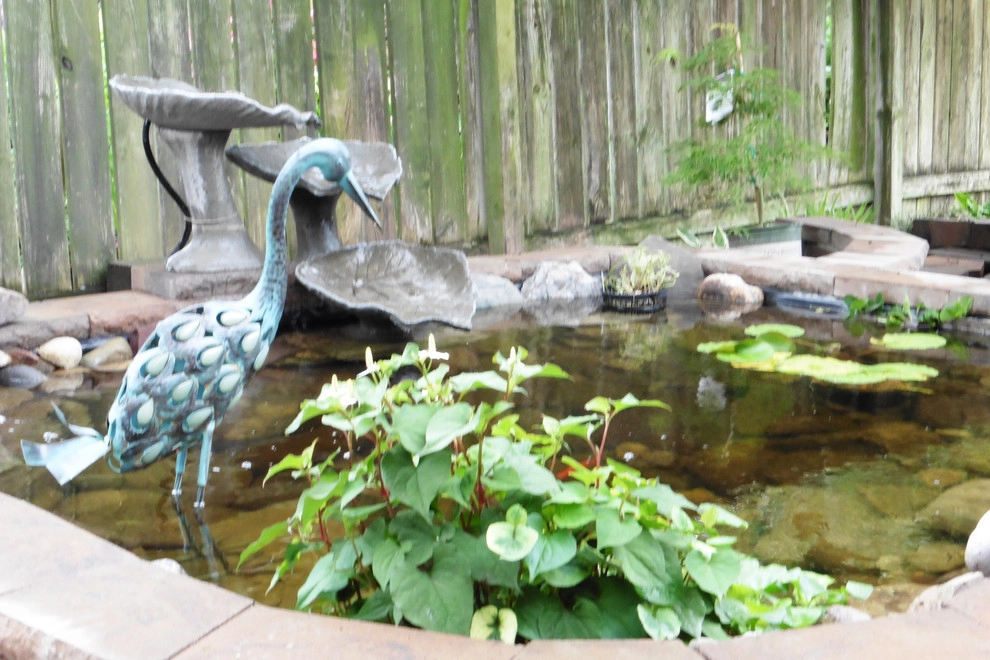 Koi Pond with new landscape and lighting by Dr. Dan's Landscaping & Architectural Design - Photo 5