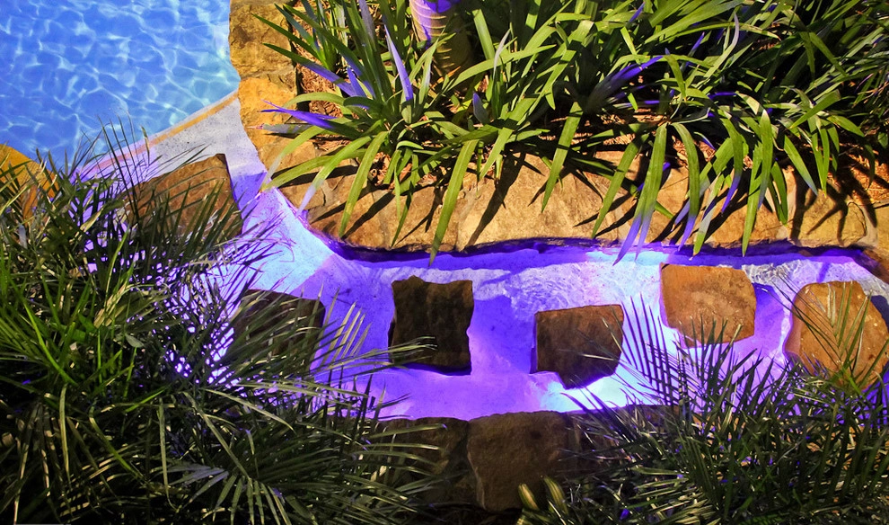 Botanical Visions - Photo 5