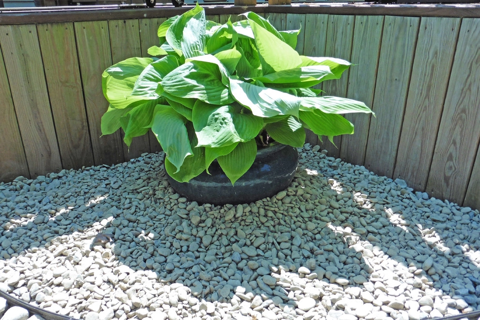 Landscape Update by Dr. Dan's Landscaping & Architectural Design - Photo 16