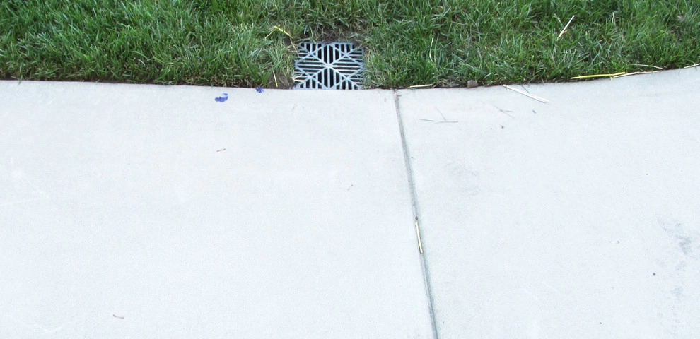 Solving a Drainage Problem by Dr. Dan's Landscaping & Architectural Design - Photo 11