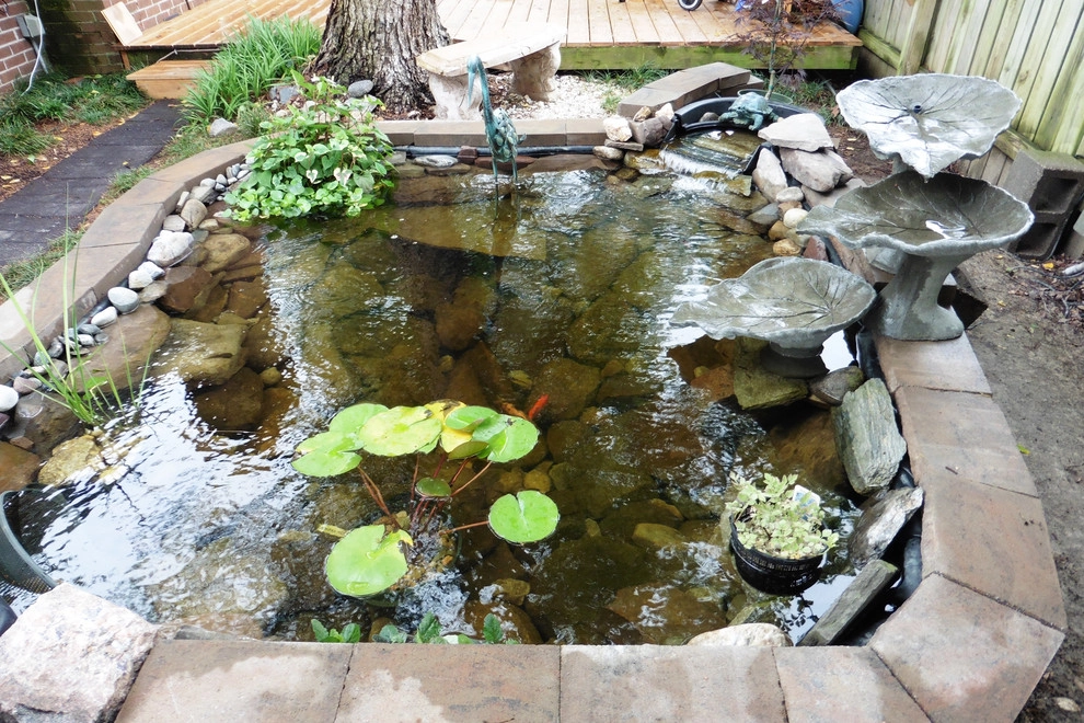 Koi Pond with new landscape and lighting by Dr. Dan's Landscaping & Architectural Design - Photo 14