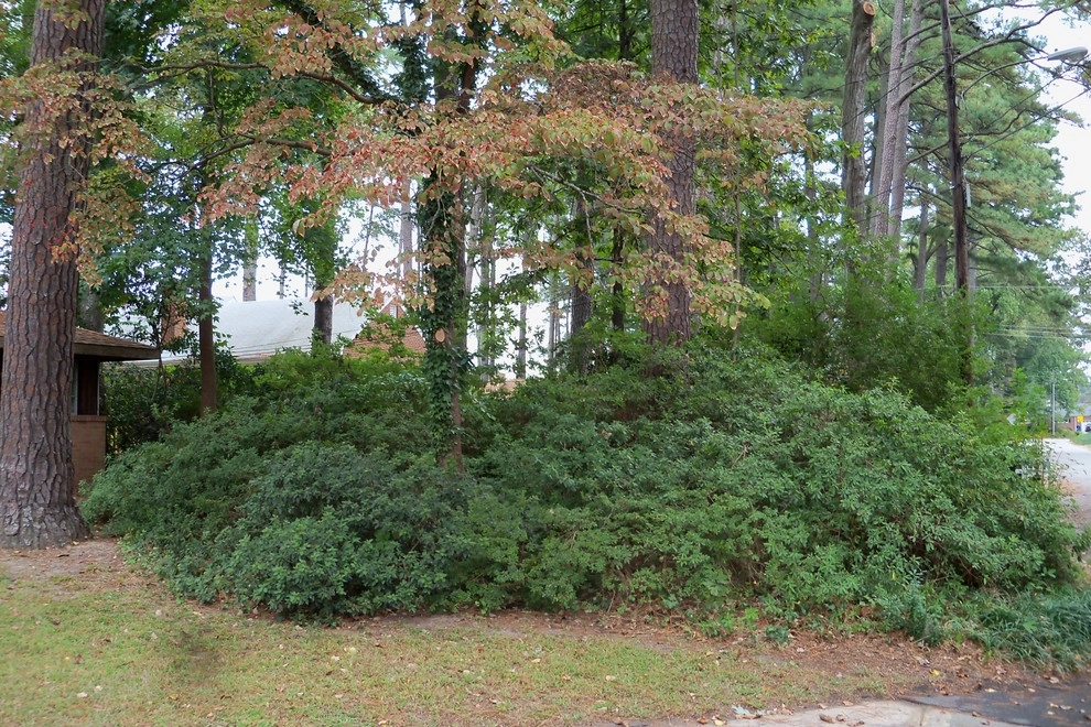 Dr. Dan's Landscaping & Architectural Design - Photo 7