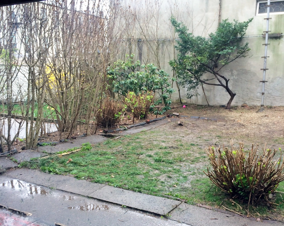 Caton Ave, Brooklyn by Dragonetti Brothers Landscapes - Photo 3