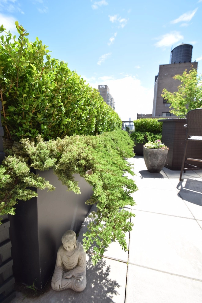 Dragonetti Brothers Landscapes - Photo 14