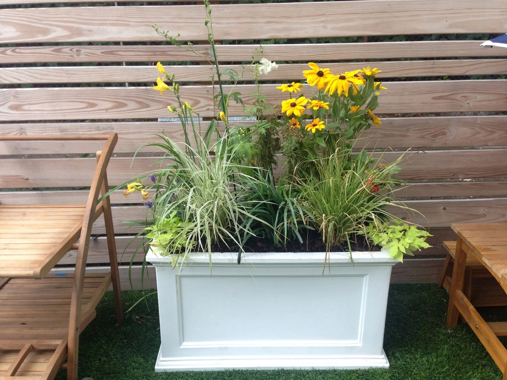 Bedstuy, Brooklyn - Backyard Planter Enhancement by Dragonetti Brothers Landscapes - Photo 2