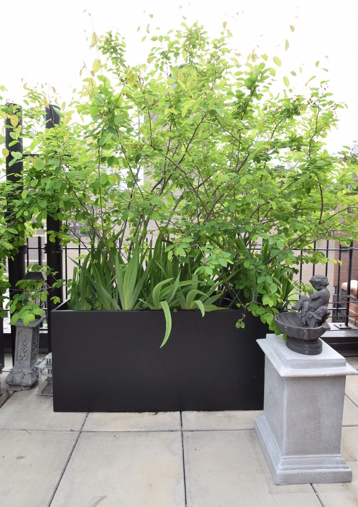 West 68th St, Manhattan - Penthouse Garden by Dragonetti Brothers Landscapes - Photo 4