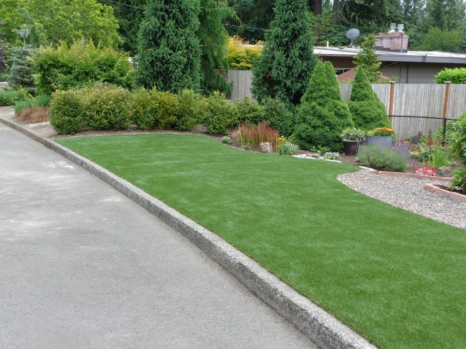 Dream Turf - Photo 11