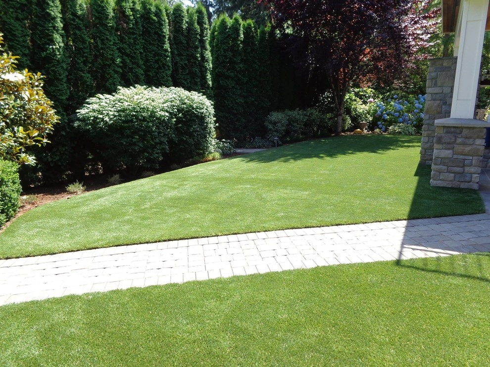 Dream Turf - Photo 14