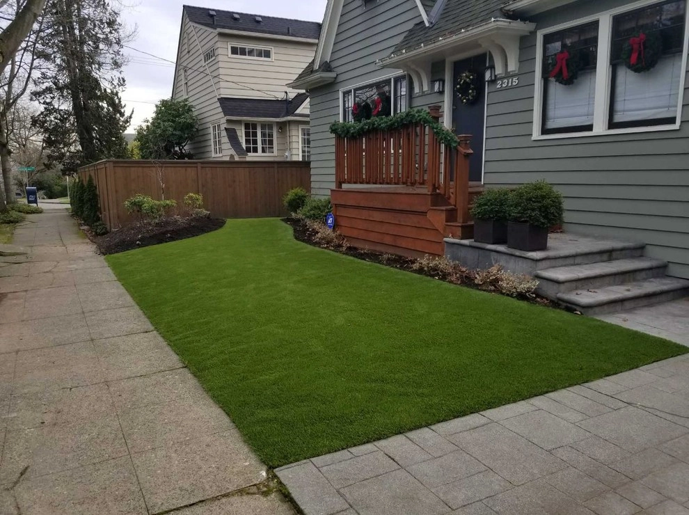 Dream Turf - Photo 6