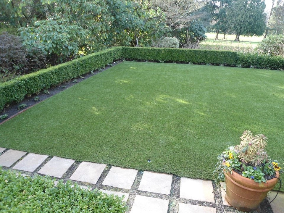 Dream Turf - Photo 12