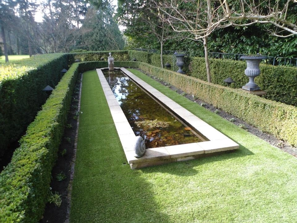 Dream Turf - Photo 10