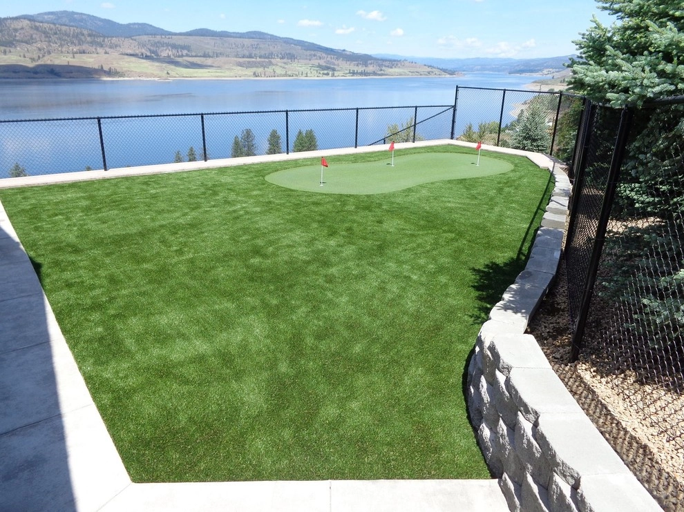 Dream Turf - Photo 8