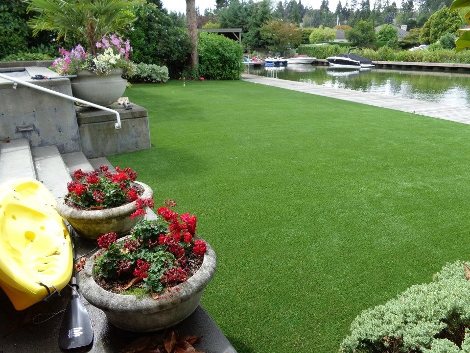 Dream Turf - Photo 3