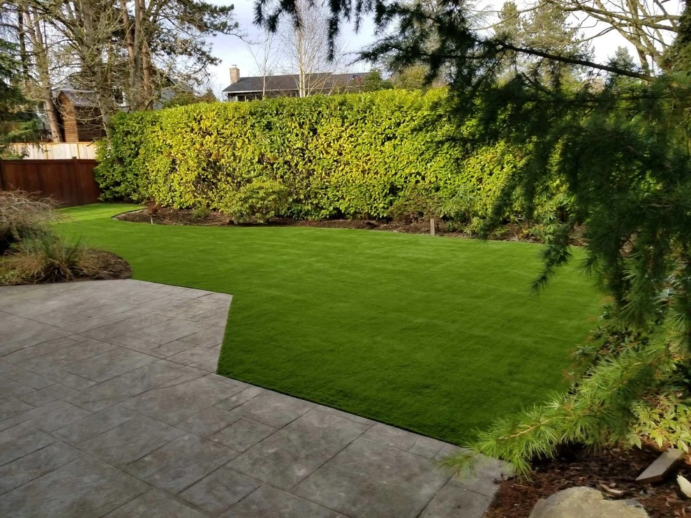 Dream Turf - Photo 7