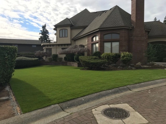 Dream Turf - Photo 5