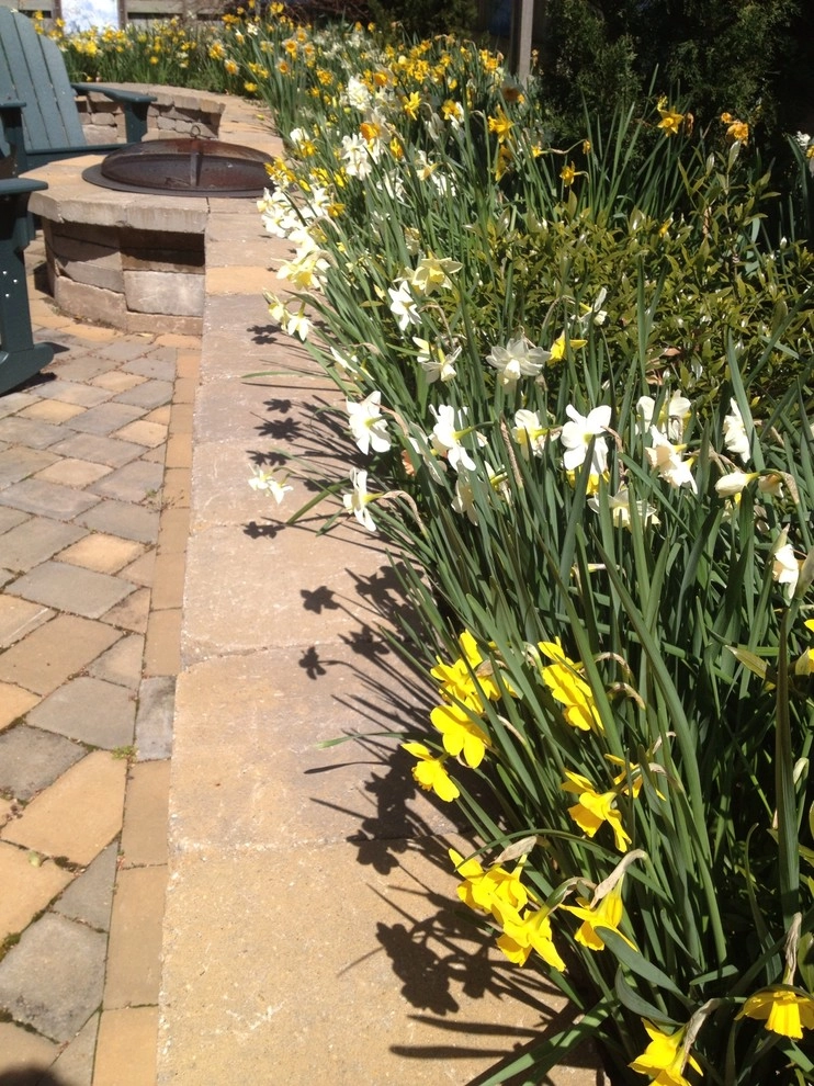 Backyard Paradise by Dreamscape Designers Landscape Company - Photo 7
