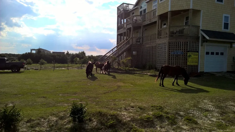 411 Mustang Drive by Tab Winborne Corporation - Photo 22